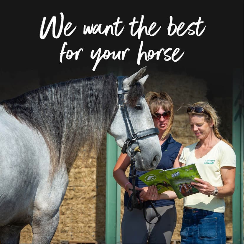 We want the best for your horse
